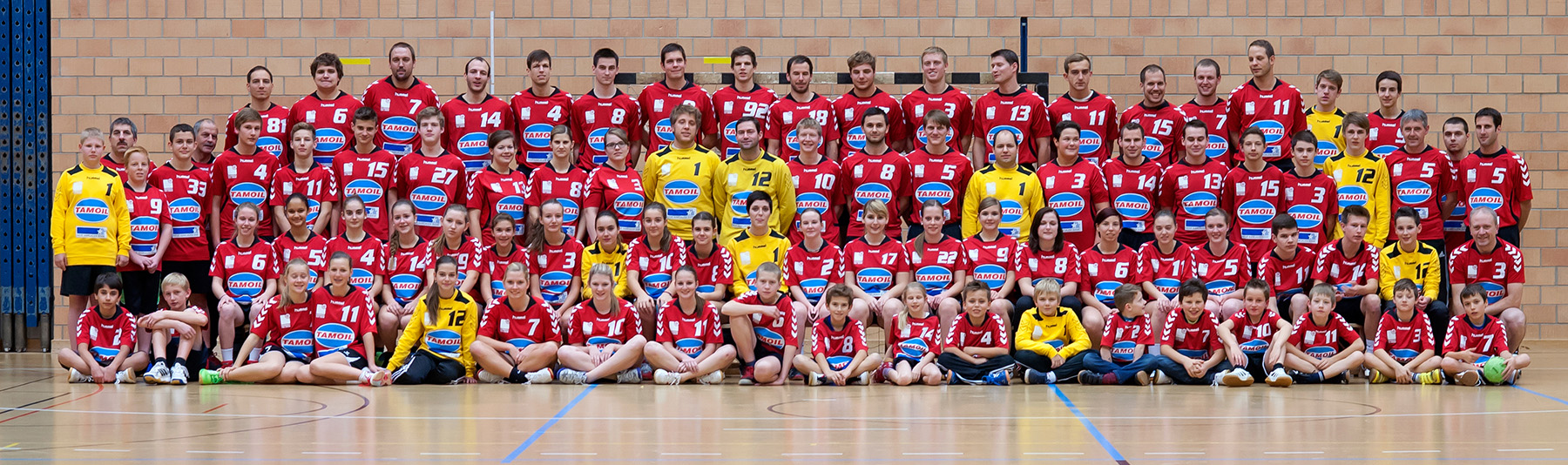 TSVFrickHandball 2013 med ausschnitt