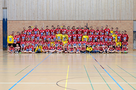 TSVFrickHandball 2013 mini