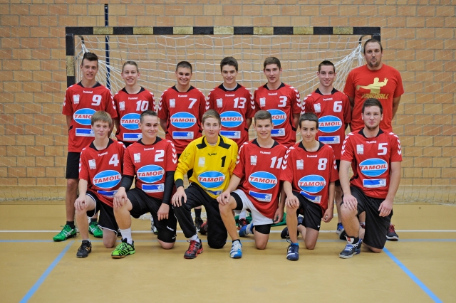 TSVFrickHB1314 U19 small