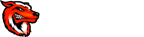 TSV Frick Handball Logo